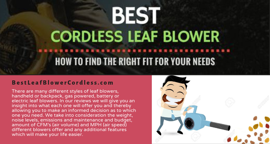 Common Reasons Why a Leaf Blower Won’t Start