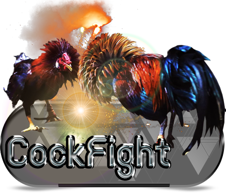 What Are The Cons Of Live Cockfighting Gaming